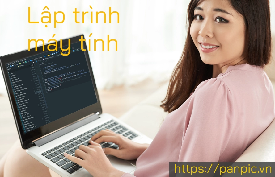 Lập trình máy tính