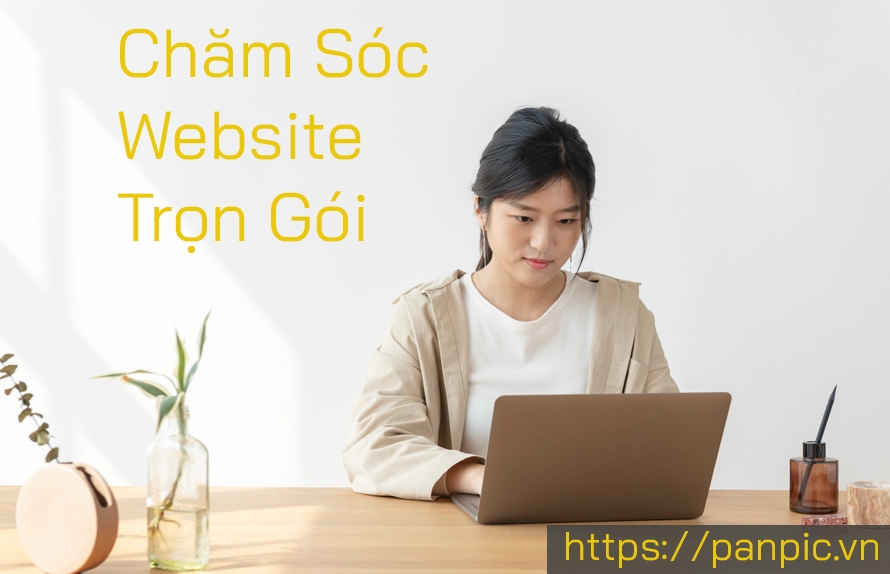 Dịch Vụ Chăm Sóc Website Trọn Gói